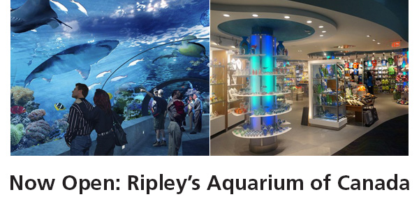 Now Open: Ripley's Aquarium of Canada
